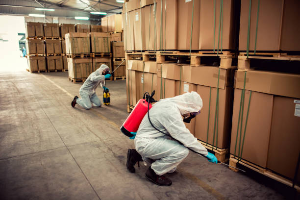 Best Affordable Pest Control Services  in Fulton, NY