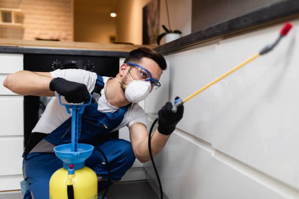 Best Mosquito Control Services  in Fulton, NY