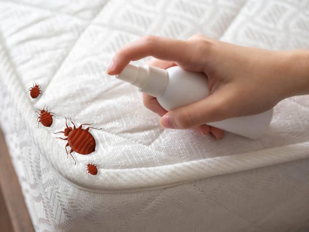 Best Bed Bug Extermination  in Fulton, NY