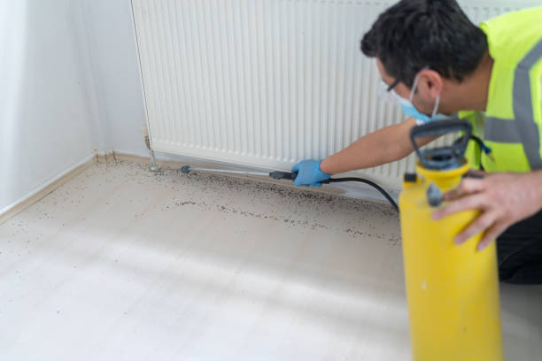 Best Best Pest Control Companies  in Fulton, NY