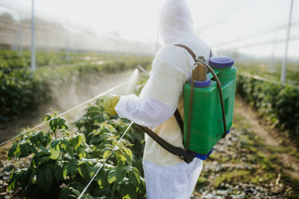  Fulton, NY Pest Control Pros
